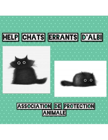 Collecte au profit des chats errants | ALBI LESCURE