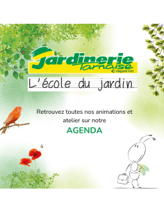 AGENDA DES ANIMATIONS ET ATELIERS