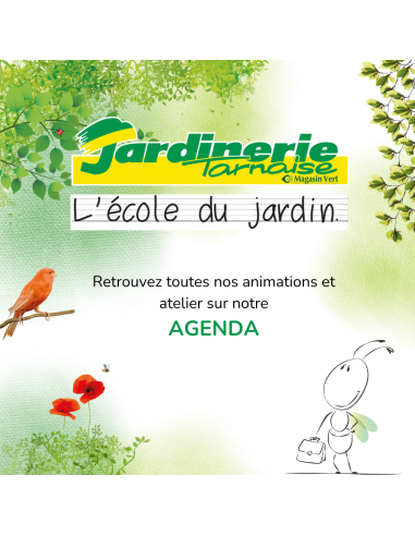 AGENDA DES ANIMATIONS ET ATELIERS