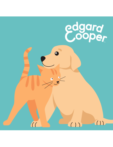 Animation Edgard & Cooper | FONLABOUR