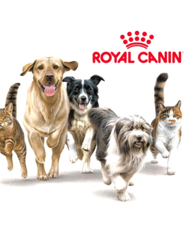 Animation ROYAL CANIN | FONLABOUR