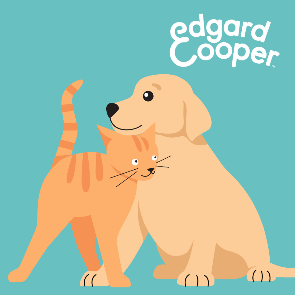 Animation Edgard & Cooper | ALBI LESCURE