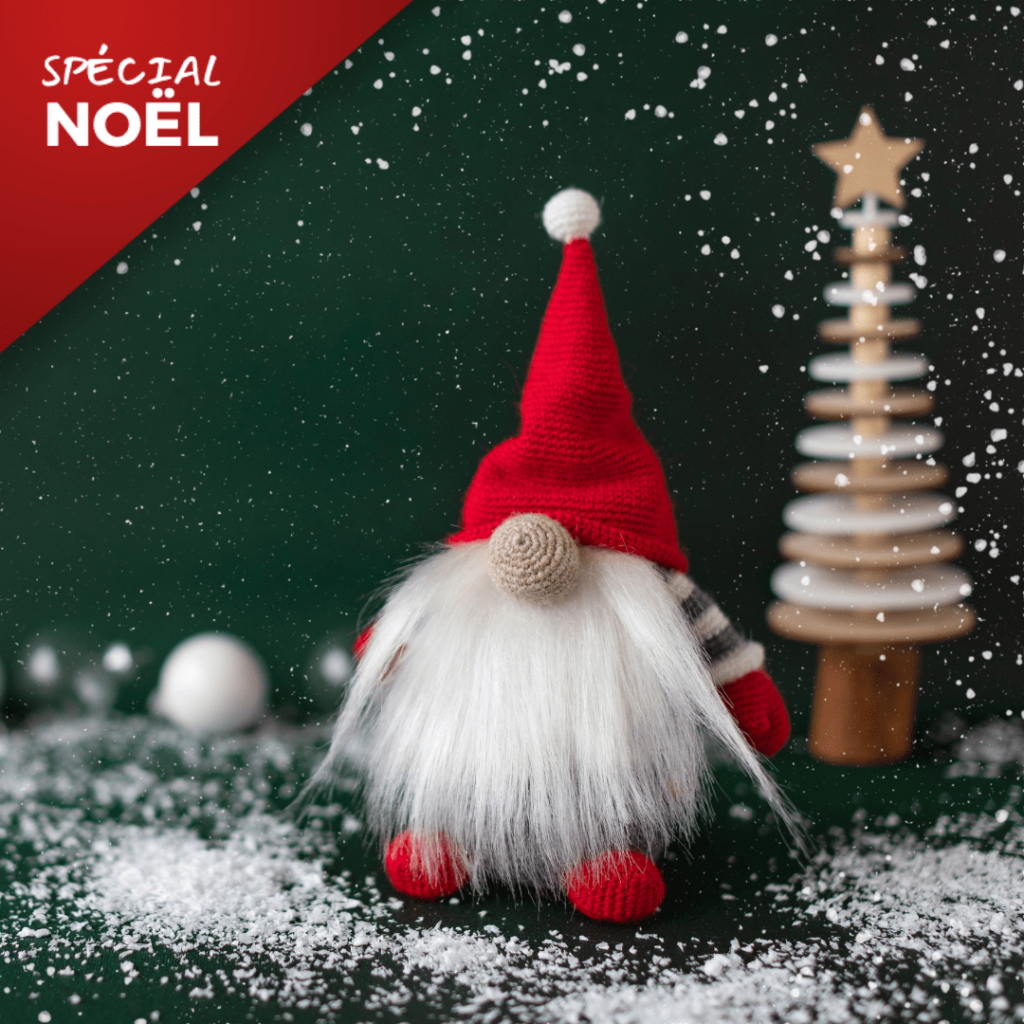 Atelier : Fabrication de Gnomes de noël | FONLABOUR