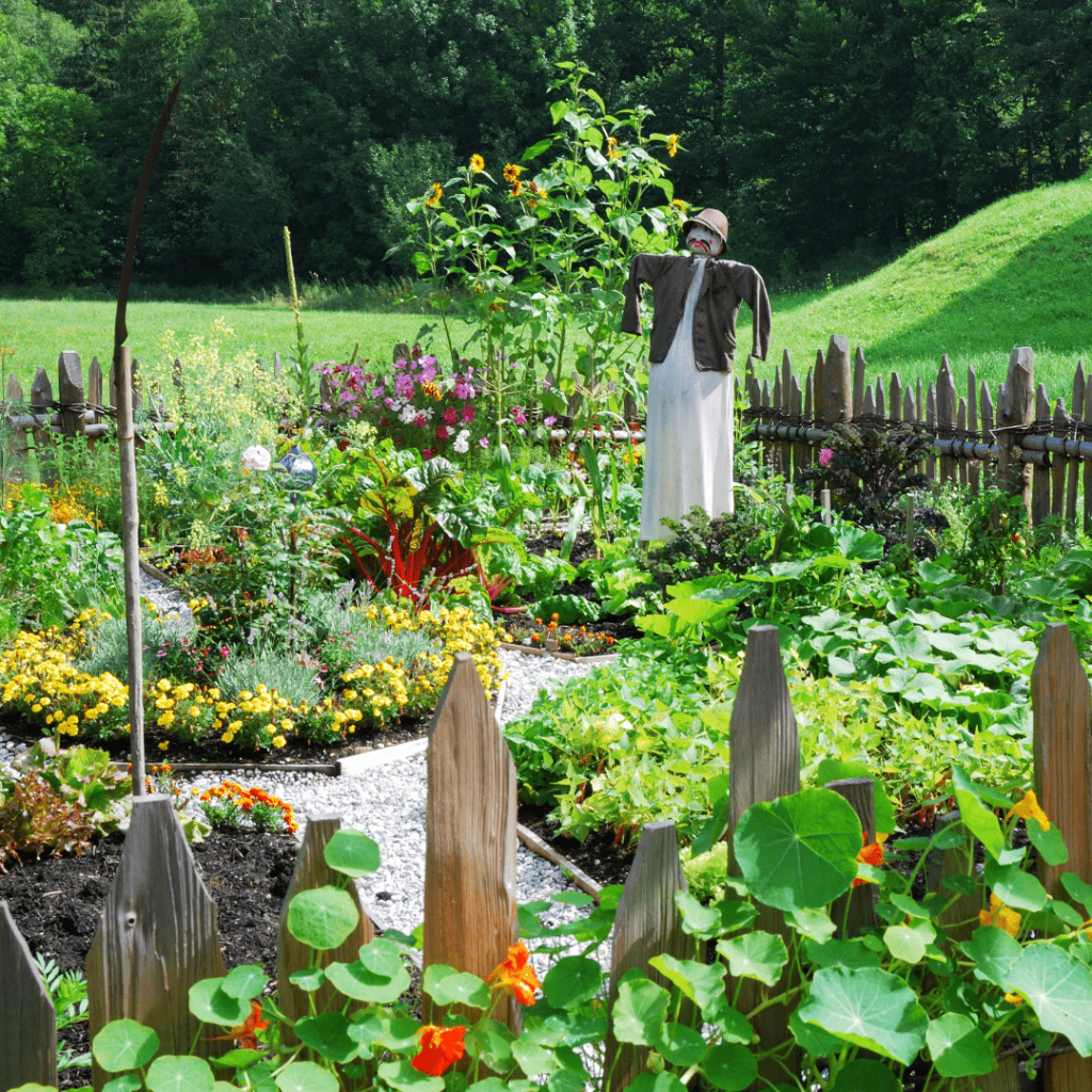 Atelier : Amener la permaculture dans son potager | CASTRES