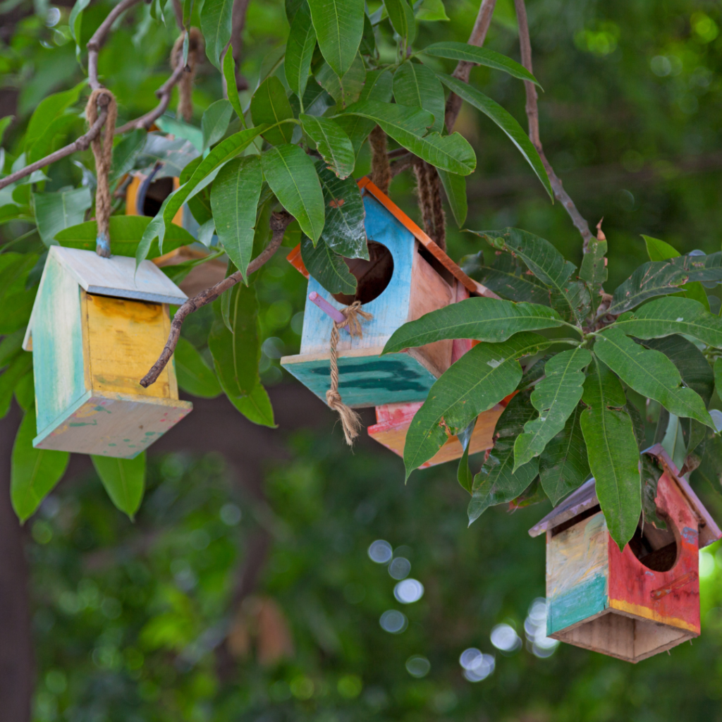 Atelier : Accueillir les oiseaux au jardin | CASTRES