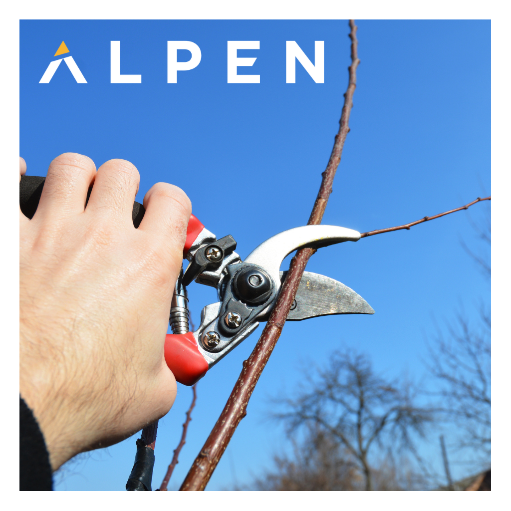 Atelier : Tailler ses arbres et fruitiers | FONLABOUR