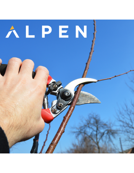 Atelier : Tailler ses arbres et fruitiers | CASTRES