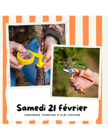 Atelier : Greffage & Taille | ALBI LESCURE