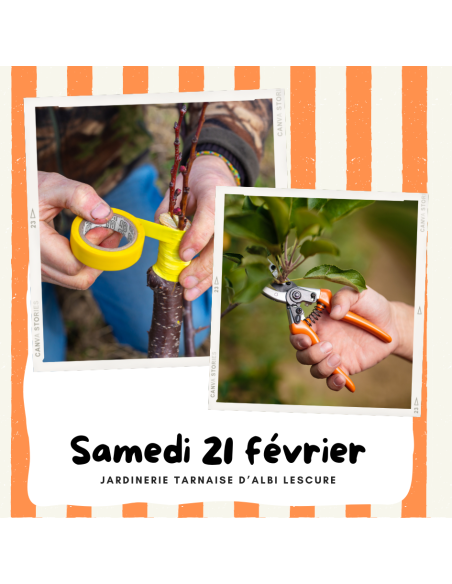 Atelier : Greffage & Taille | ALBI LESCURE
