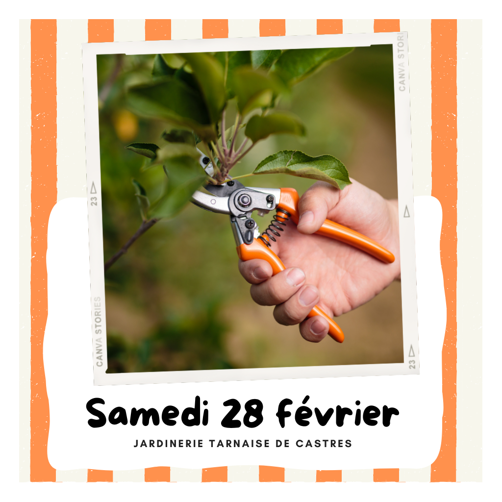 Atelier : Taille des fruitiers | CASTRES