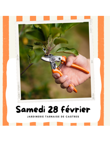 Atelier : Taille des fruitiers | CASTRES