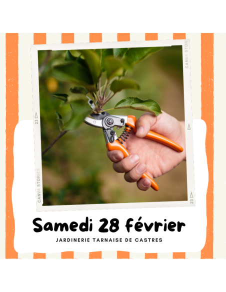 Atelier : Taille des fruitiers | CASTRES
