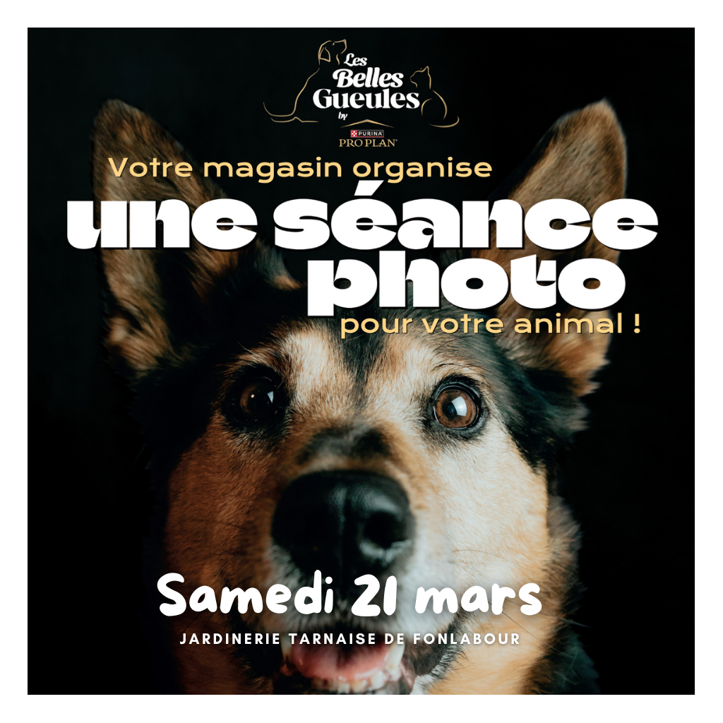 LES BELLES GUEULES by PROPLAN | FONLABOUR