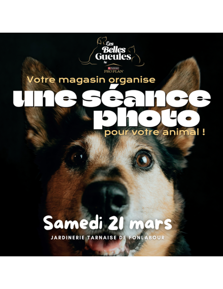 LES BELLES GUEULES by PROPLAN | FONLABOUR