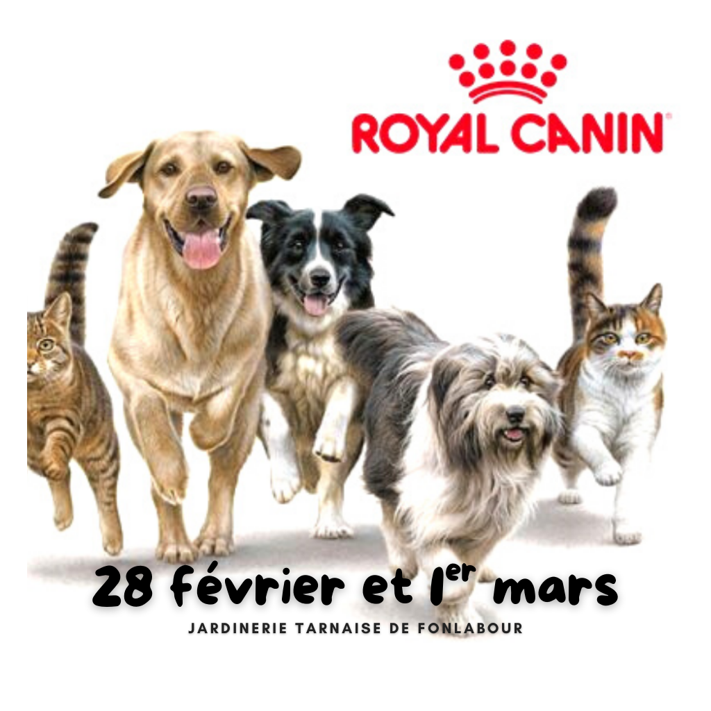 Animation ROYAL CANIN | FONLABOUR
