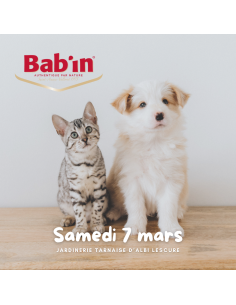 Animation Bab'in Chiens et Chats | ALBI LESCURE