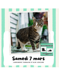 Collecte au profit des chats errants | ALBI LESCURE