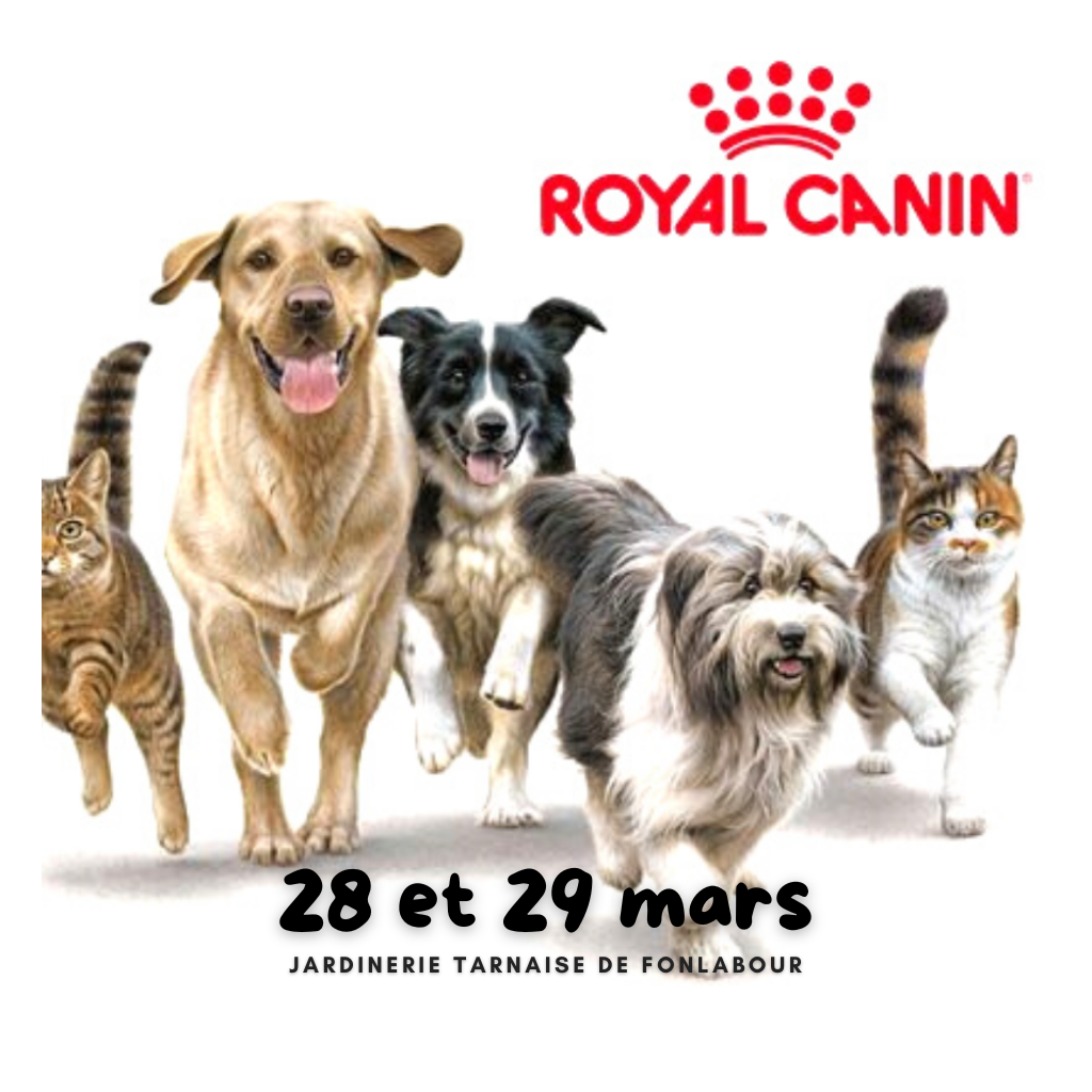 Animation ROYAL CANIN | FONLABOUR