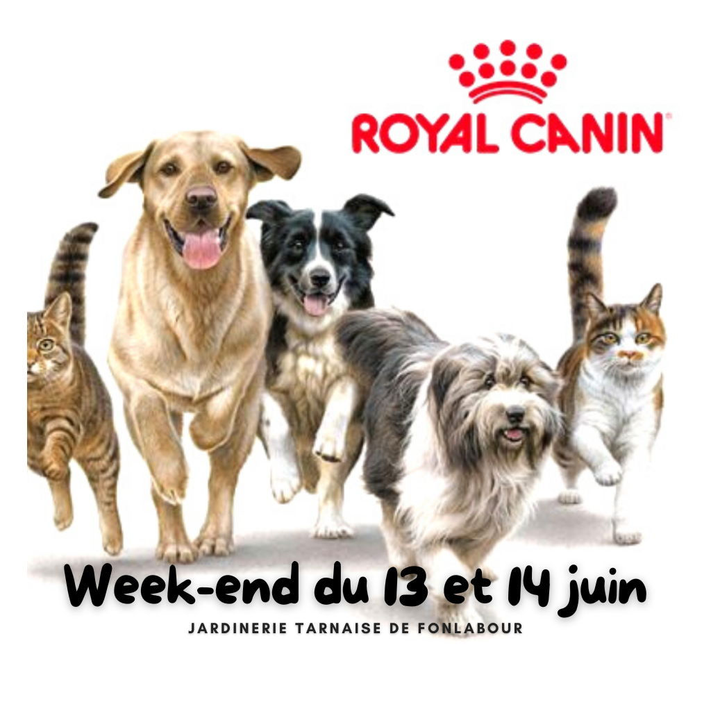 Animation ROYAL CANIN | FONLABOUR