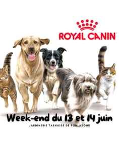Animation ROYAL CANIN | FONLABOUR