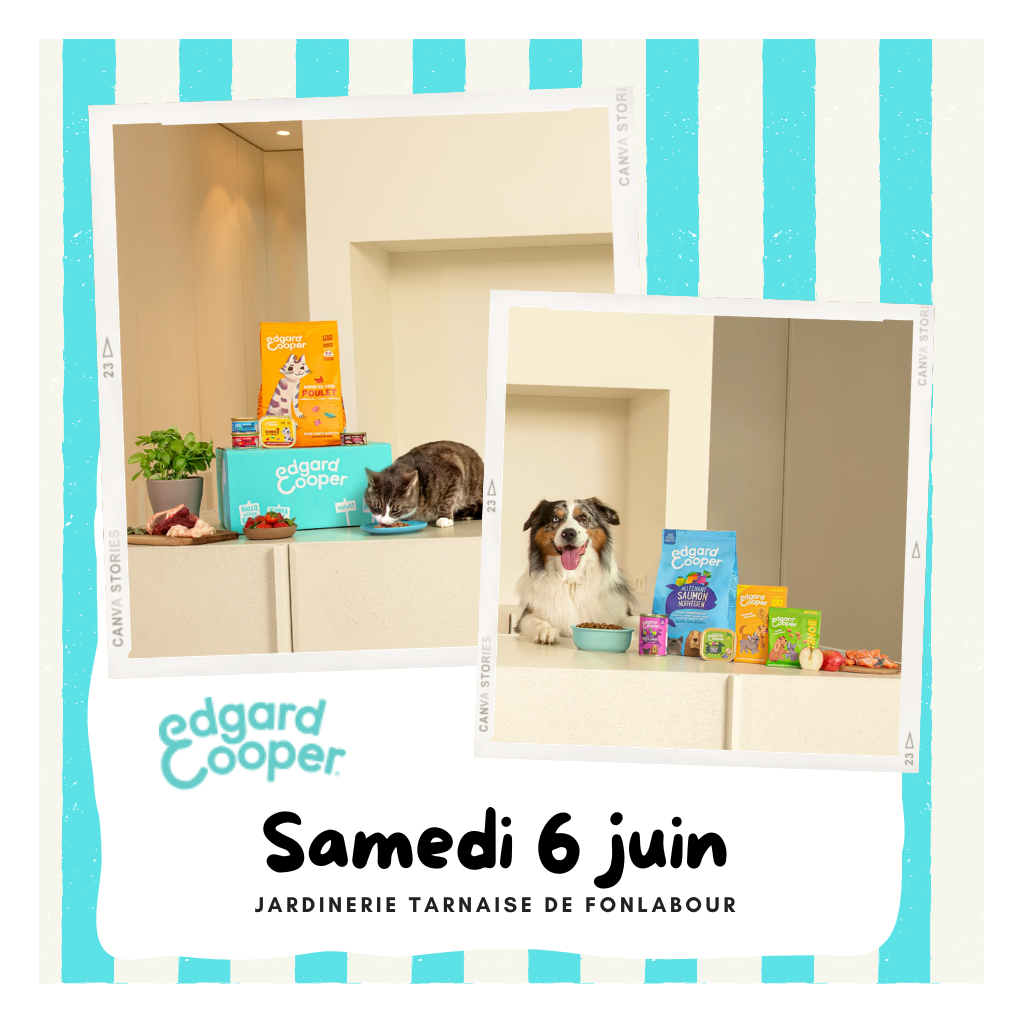 Animation Edgard & Cooper | FONLABOUR
