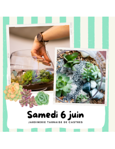 Animation Terrarium | CASTRES