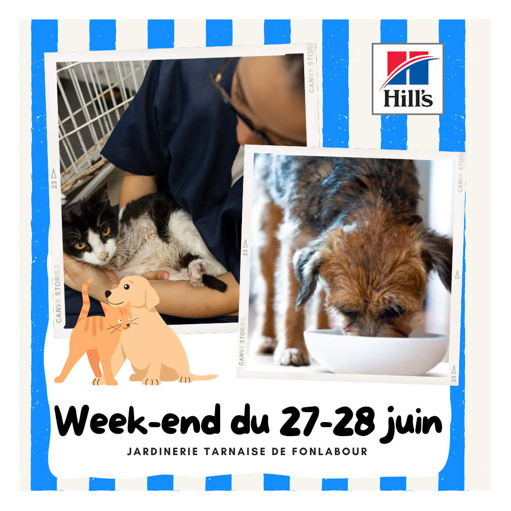 Week-end contre l'abandon Hill's | FONLABOUR