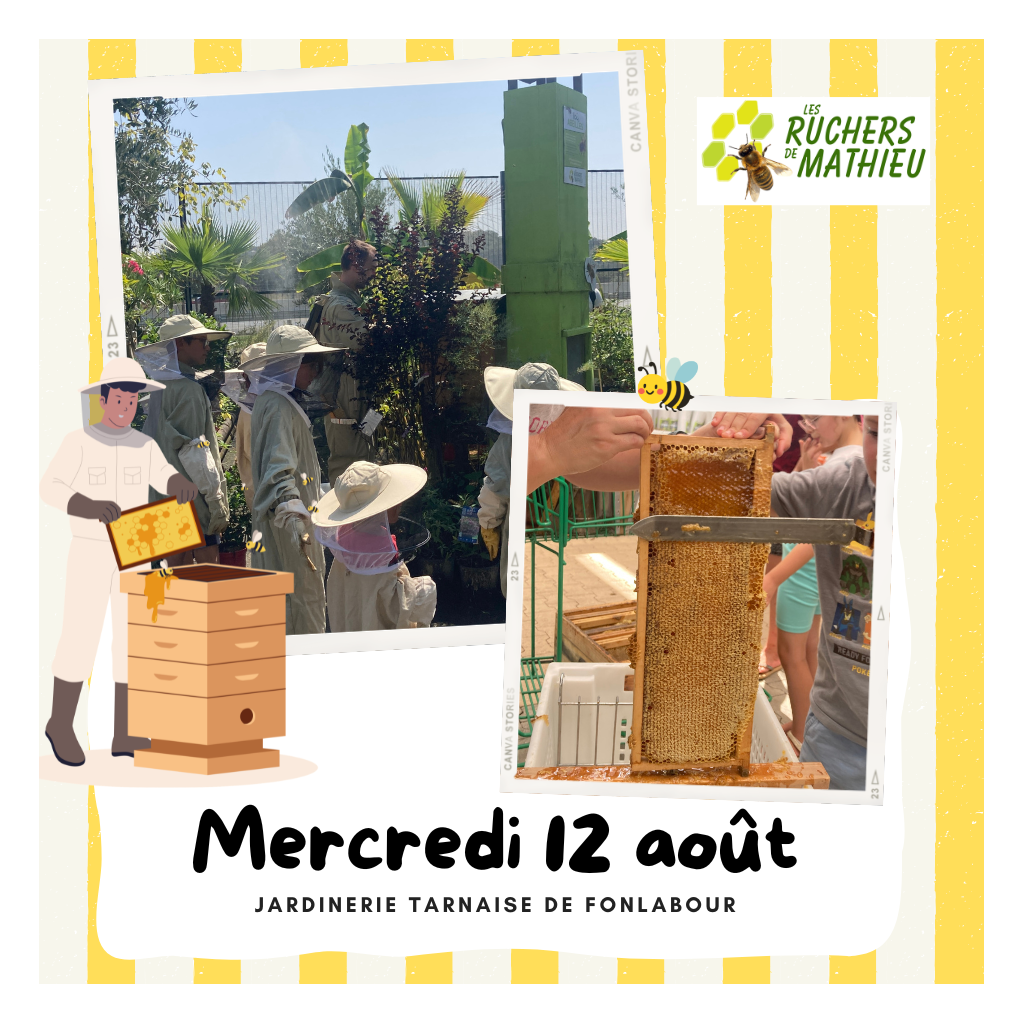 Atelier : Récolte de miel | FONLABOUR