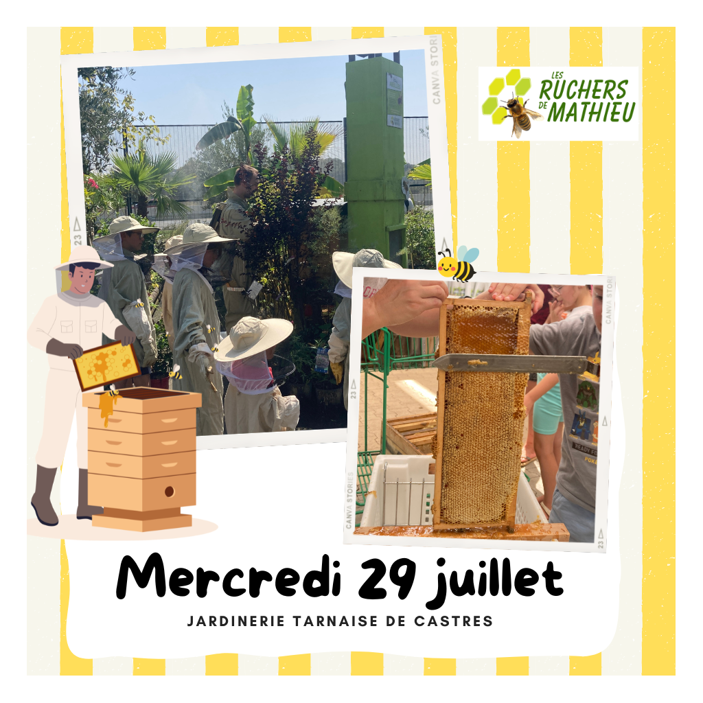 Atelier : Récolte de miel | CASTRES