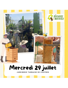 Atelier : Récolte de miel | CASTRES