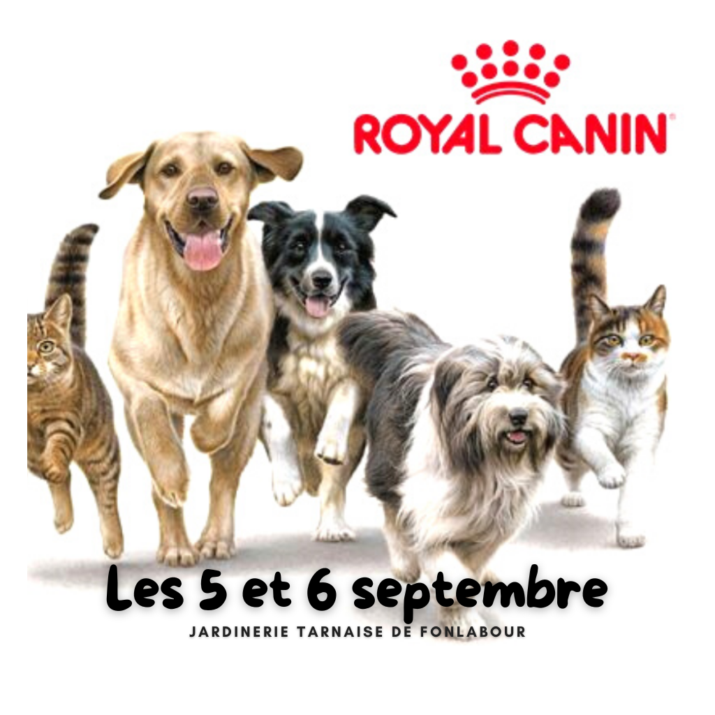 Animation ROYAL CANIN | FONLABOUR