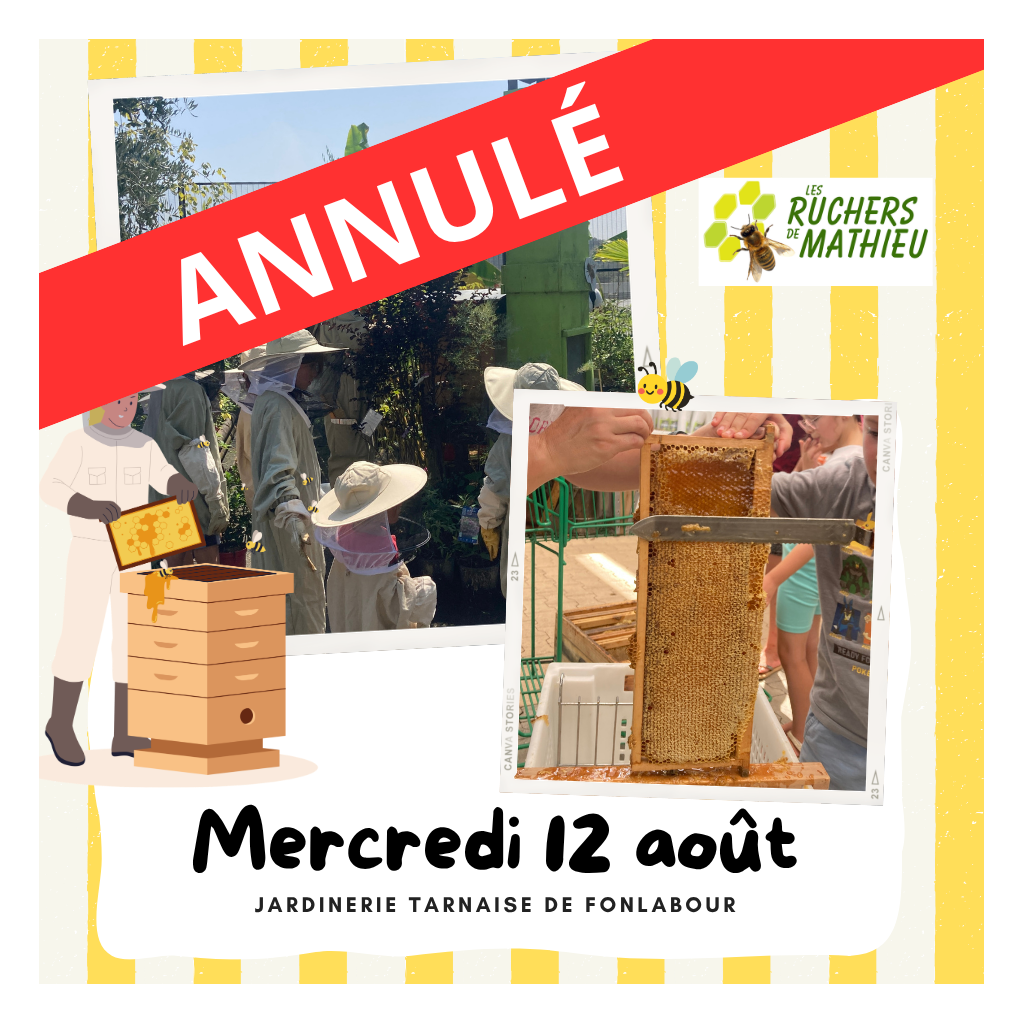 Atelier : Récolte de miel | FONLABOUR