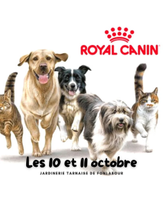 Animation ROYAL CANIN | FONLABOUR
