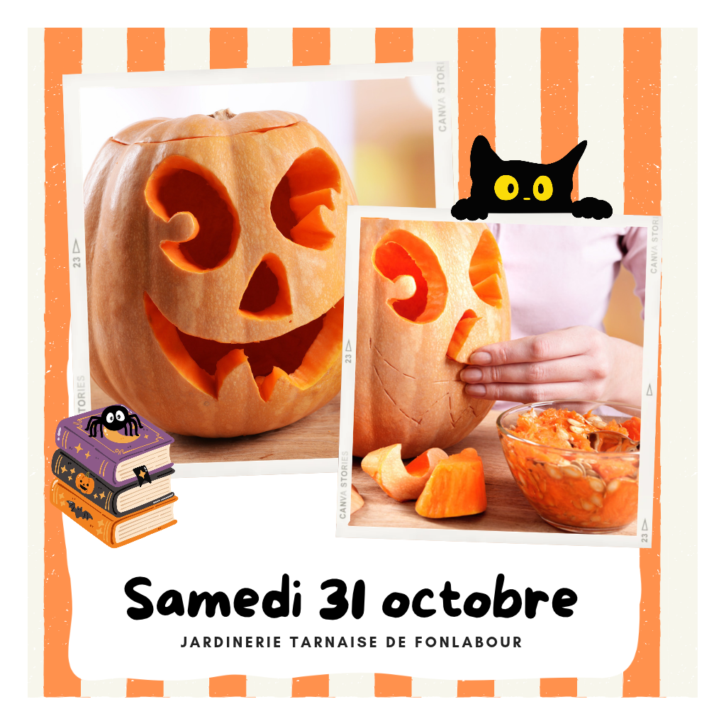 Atelier : Citrouilles creusées | FONLABOUR