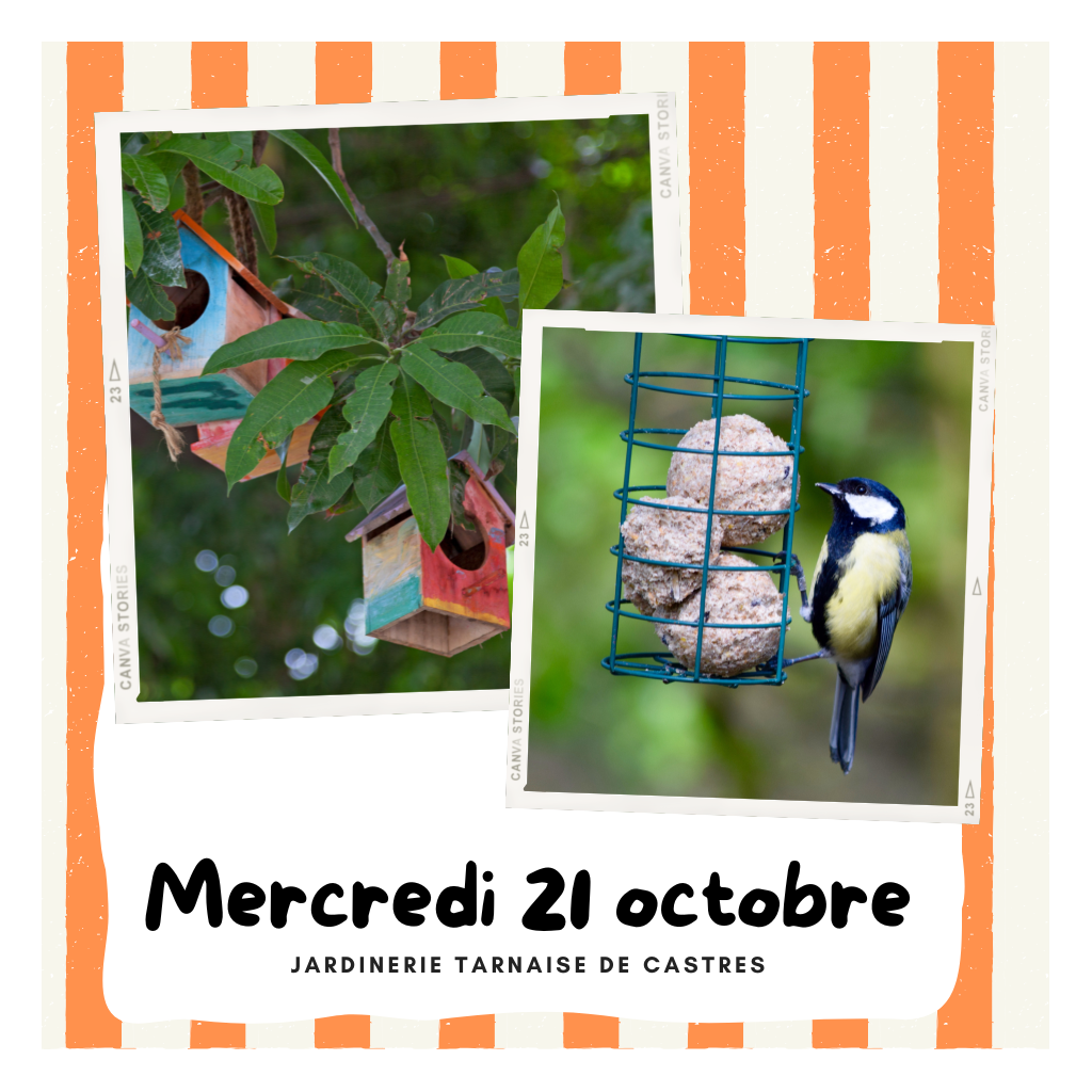 Atelier : Accueillir les oiseaux au jardin | CASTRES