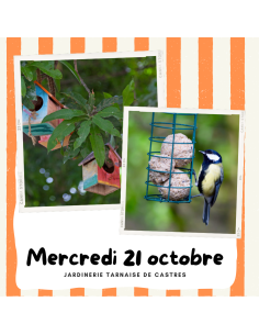 Atelier : Accueillir les oiseaux au jardin | CASTRES