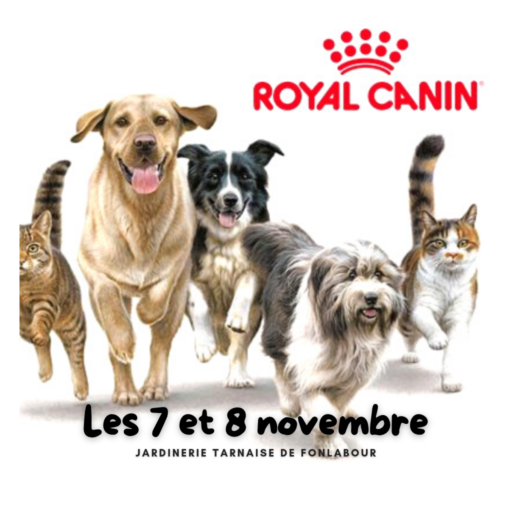 Animation ROYAL CANIN | FONLABOUR