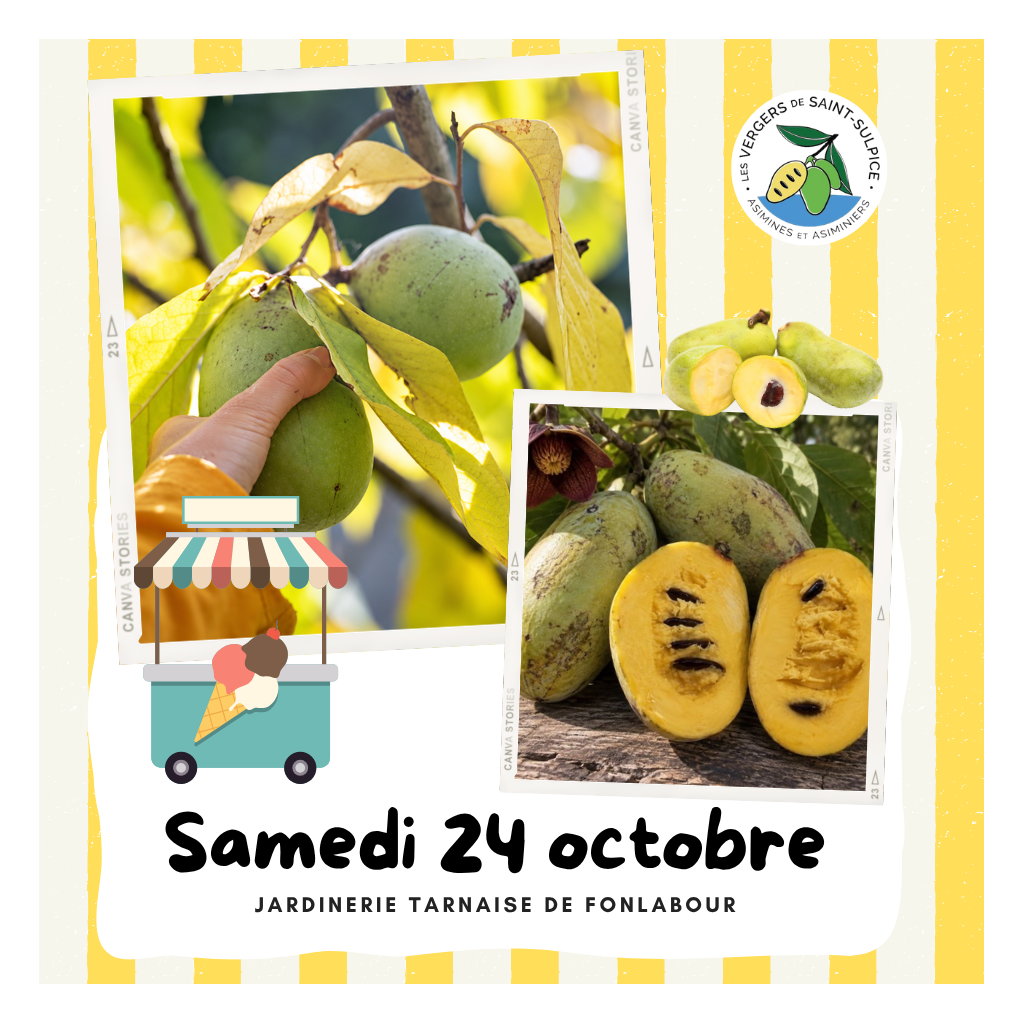 Animation : Dégustation de sorbet | FONLABOUR