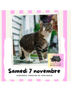 Collecte au profit des chats errants | FONLABOUR