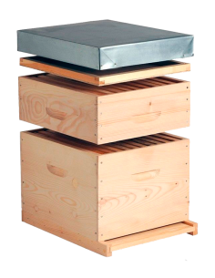 RUCHE DADANT PRIBOIS  - 10 CADRES