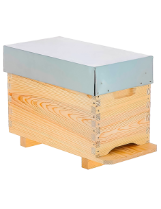 RUCHETTE DADANT - 6 CADRES