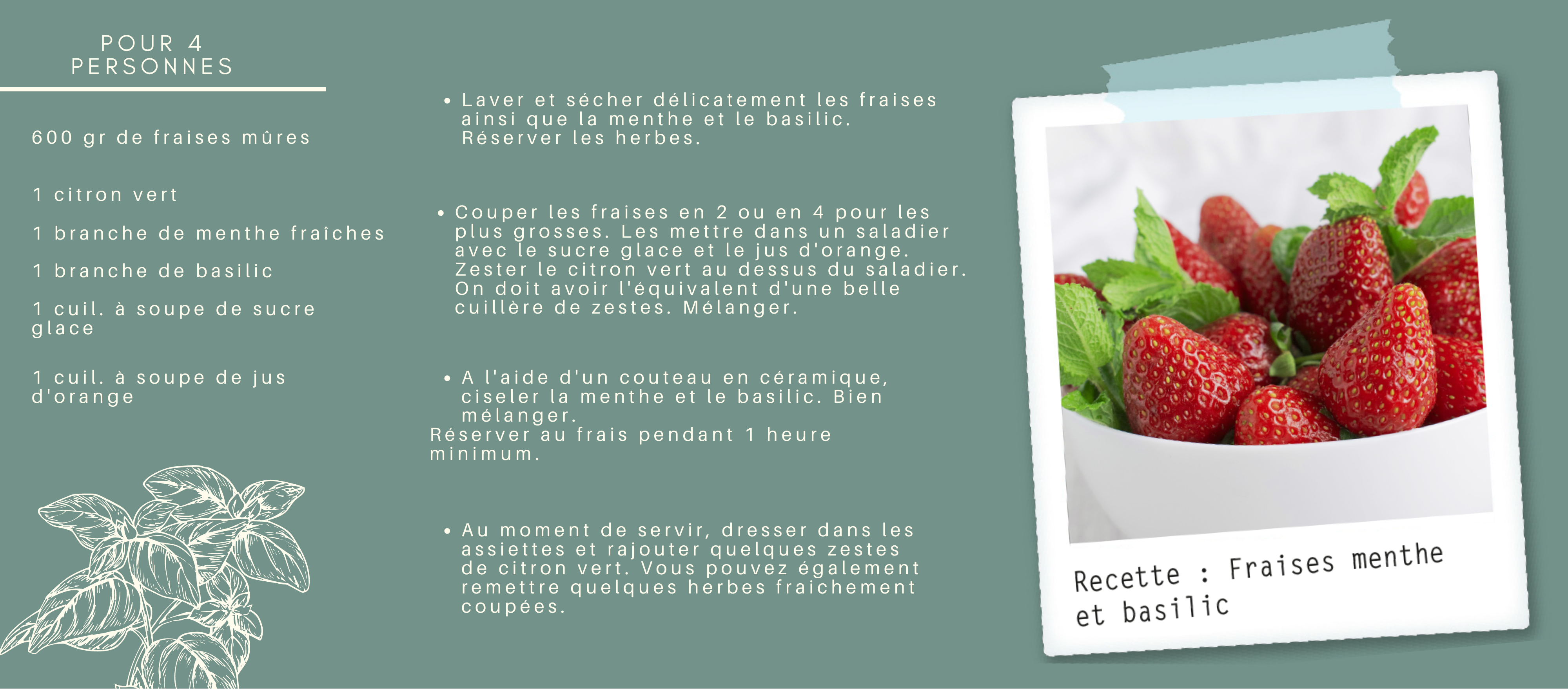 Recette-fraises-menthe-basilic-Jardinerie-Tarnaise
