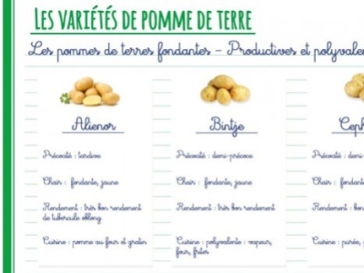 Savez-vous quelle variété de pomme de terre correspond le mieux vos attentes ?