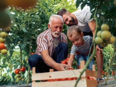 Le potager, une vraie passion !