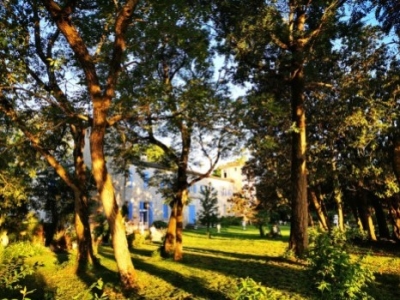 Le Château de Verdalle et ses jardins