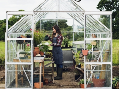 Protéger, ranger et prendre soin de vos plantes toute l’année 