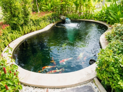 Installer et entretenir un bassin de jardin : le guide complet