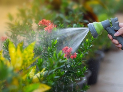 Arroser son jardin intelligemment cet été